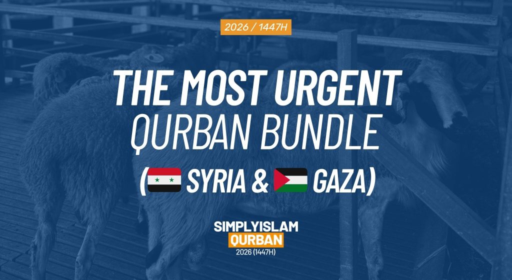 Syria & Gaza