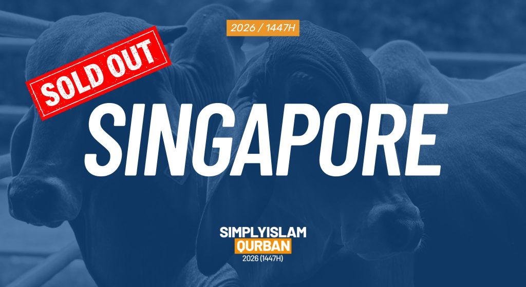 Singapore Live