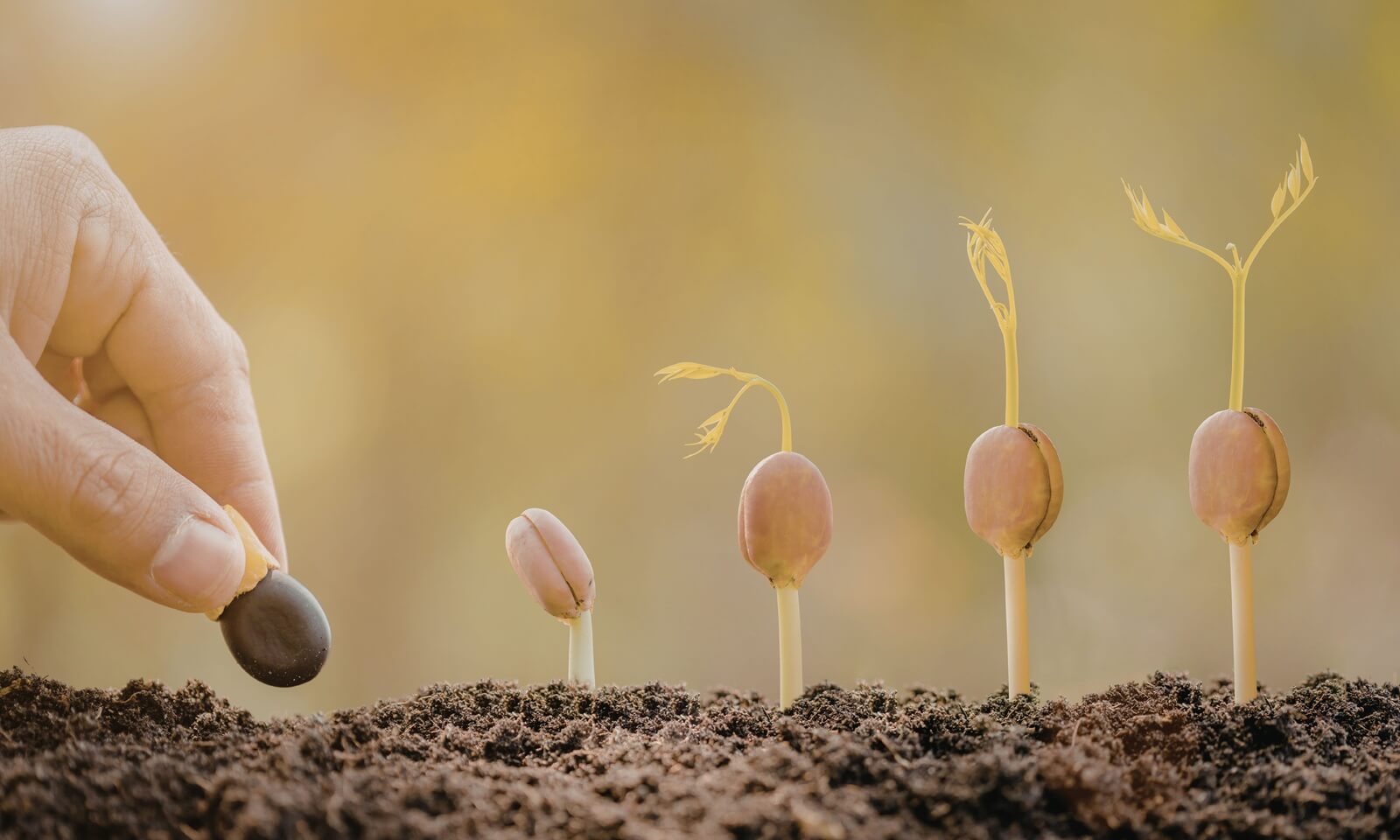The Islamic Parenting Lifecycle_ What to Focus on at Each Stage