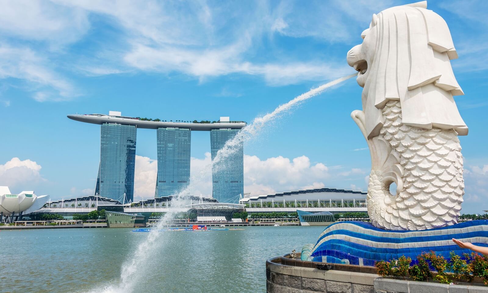 The Reality of Finding Halal Food in Singapore_ Easy or Difficult